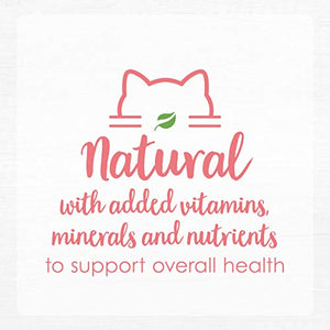 Purina Fancy Feast Grain Free, Natural Pate Wet Kitten Food, Gourmet Naturals Natural Wild Alaskan Salmon Recipe - (12) 3 oz. Cans