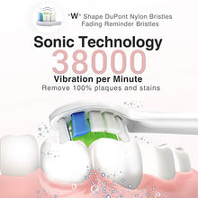 Load image into Gallery viewer, Hanasco Sonic Electric Toothbrush Rechargeable for Adults, 4 Modes with Build in 2 Mins Timer, 3 Brush Heads Included, Whitening Clean 4 Hours Charge for 30 Days Use, Soft Bristles, 38,000 VPM Pink
