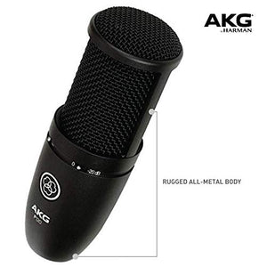AKG P120 High-Performance General Purpose Recording Microphone