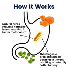 Load image into Gallery viewer, Original Provitalize | Natural Menopause Probiotics for Weight Gain, Hot Flashes, Night Sweats, Low Energy, Mood Swings, Gut Health. Unique Probiotics Formula
