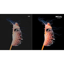 Load image into Gallery viewer, VIZIO 58-Inch M7 Series Premium 4K UHD Quantum Color LED HDR Smart TV with Apple AirPlay 2 and Chromecast Built-in, Dolby Vision, HDR10+, HDMI 2.1, Variable Refresh Rate, M58Q7-J01, 2021 Model
