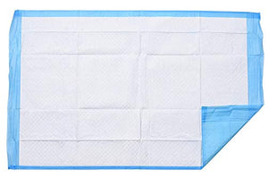 A WORLD OF DEALS INC2336R Disposable Blue Underpad 23 X 36, 150/Case