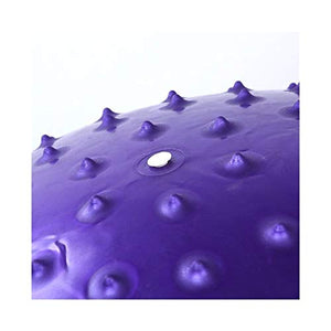 65CM Yoga Ball Inflatable Massage Balls Balance Between Men and Women Thick Explosion-Proof Fitness Ball Pregnant Women Lose Weight Yoga Accessories (Color : Red)