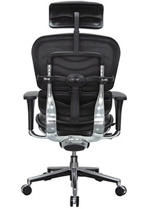 Eurotech Seating Ergohuman High Back Leather Swivel Chair, Black