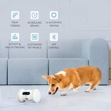 Load image into Gallery viewer, VARRAM Pet Fitness Robot: Interactive Treat Dispenser and Companion Robot for Dogs &amp; Cats, Schedule Automatic Play, Activity Monitoring, Treat Tossing, Manual Play via App
