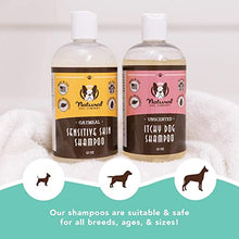 Load image into Gallery viewer, Natural Dog Company Itchy Dog Shampoo (12oz) | Natural and Hypoallergenic | Non-Toxic and Paraben-Free | Dog Shampoo for Itchy Skin Relief and Coat Health | Hydrates, Soothes and Heals Irritations
