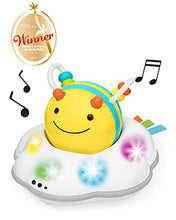 Load image into Gallery viewer, Skip Hop Developmental Learning Crawl Toy, Explore &amp; More 3-Stage Follow-Me, Bee
