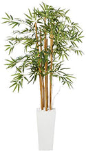 Load image into Gallery viewer, Nearly Natural 5812 5’ Bamboo Artificial Tree in White Tower Planter, Green
