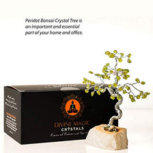 Load image into Gallery viewer, Divine Magic Handmade Natural Crystal Tree Green Peridot Enhance Confidence | Crystal Art Decoration Good Luck Tree Activates Heart and Solar Plexus Chakras - Spiritual Gifts for Women Men
