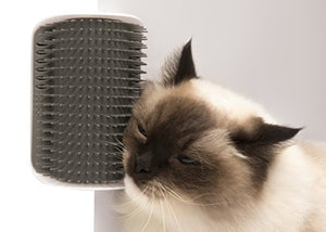Cat Senses 2.0 Self Groomer Cat Brush – Interactive Cat Toys