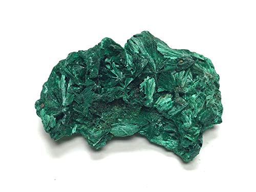 Zentron Crystal Collection Fibrous Malachite Stone - Raw Stone in Velvet Bag (Small (1-2