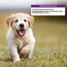 Load image into Gallery viewer, Wellness Puppy Bites Natural Grain Free Crunchy Puppy Treats, Chicken &amp; Carrots Recipe, 6-Ounce Bag
