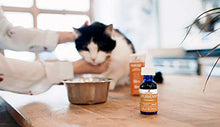 Load image into Gallery viewer, Innovet Pet Products - PurHemp+ Hemp Oil for Dogs and Cats: 100% Organic Natural Calming Drops - Anxiety Support - Hip and Joint Health - Pain Relief for Pets: Made in The USA (125mg PurHemp+)
