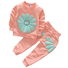 Load image into Gallery viewer, Toddler Baby Girls Sunflower Clothes Set Long Sleeve Top and Pants 2pcs Outfits Fall Clothes (Age(2T), Pink)
