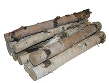 Load image into Gallery viewer, Wilson Enterprises Northern White Birch Logs, Set of 8
