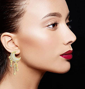 14K Gold Plated Stars and Moon Stud Earrings with S925 Sterling Silver Needle for Women Girl Gifts Valentines/Birthday/Anniversary/Mother’s Day