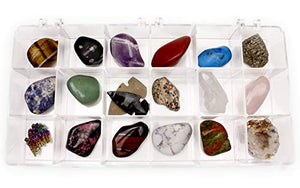 Rock and Mineral Educational Collection & Deluxe Collection Box -18 Pieces with Description Sheet and Educational Information. Limited Edition, Geology Gem Kit for Kids with Display Case, Dancing Bear