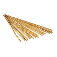 Load image into Gallery viewer, Hydrofarm HGBB4 4' Natural, pack of 25 Bamboo Stake, Tan
