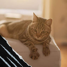 Load image into Gallery viewer, Emmy&#39;s Best Stop The Scratch Cat Deterrent Spray for Kittens and Cats - Non-Toxic, Safe for Plants, Furniture, Floors and More with Rosemary Oil and Lemongrass
