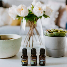Load image into Gallery viewer, Cliganic USDA Organic Aromatherapy TOP 12 Essential Oils Set, 100% Pure - Peppermint, Lavender, Eucalyptus, Tea Tree, Lemongrass, Rosemary, Frankincense, Orange, Lemon, Cassia, Cedarwood &amp; Grapefruit
