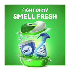 Gain Flings 3-in-1 Liquid Laundry Detergent Pacs, Spring Daydream Scent, 3 Bag Value Pack, 111 Count, HE Compatible