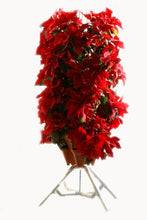 Load image into Gallery viewer, Mr. Stacky 5-Tier Strawberry Planter Pot, 5 Pots
