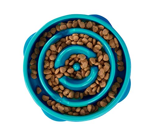 Outward Hound Fun Feeder Dog Bowl Slow Feeder Stop Bloat for Dogs