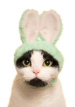 Load image into Gallery viewer, Kitan Club Cat Cap - Pet Hat Blind Box Includes 1 of 5 Cute Styles - Soft, Comfortable - Authentic Japanese Kawaii Design - Animal-Safe Materials, Premium Quality (Rabbit)
