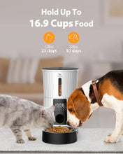 Load image into Gallery viewer, Petory Timed Automatic Cat Feeder - 4L Programable Dry Food Dispenser for Cats and Small Medium Dogs 6 Meals with Desiccant Bag Dual Power Supply 10S Voice Recorder
