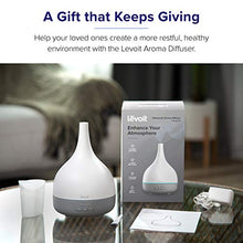 Load image into Gallery viewer, LEVOIT Essential Oil Diffuser, Aromatherapy Diffuser for Essential Oils, Cool Mist Humidifier,300ml Aroma Diffuser with 7 Color Lights &amp; Timer, Auto Shut-off, BPA Free for Home Office Bedroom

