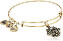 Load image into Gallery viewer, Alex and Ani Godspeed II Bangle Bracelet, Rafealian Gold, Expandable
