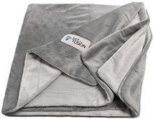 Load image into Gallery viewer, PetFusion Premium Dog Blanket, Cat Blanket | Ultra Soft Pet Blanket Available in Plush or Quilted, 2 Colors (Grey, Brown) | Perfect Blanket for Small Dogs &amp; Large Dogs. 12 Month Warranty
