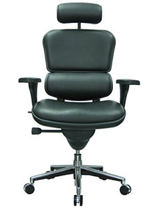 Ergohuman by Eurotech Seating Leather Swivel Chair, Black (High Back)