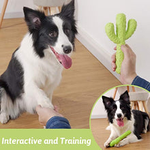 Load image into Gallery viewer, MewaJump Dog Chew Toys, Durable Rubber Dog Toys for Aggressive Chewers, Cactus Tough Toys for Training and Cleaning Teeth, Interactive Dog Toys for Small/Medium Dog
