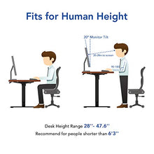 Load image into Gallery viewer, Flexispot Standing Desk, 48 x 24 Inches Height Adjustable Desk, Electric Sit Stand Desk Home Office Desks Whole-Piece Desk Board (Black Frame + 48 in Mahogany Top)
