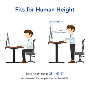 Flexispot Standing Desk, 48 x 24 Inches Height Adjustable Desk, Electric Sit Stand Desk Home Office Desks Whole-Piece Desk Board (Black Frame + 48 in Mahogany Top)