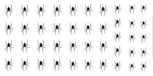 Load image into Gallery viewer, Scary Spider Halloween Water Slide Nail Art Decals - Salon Quality! - Great for Halloween!
