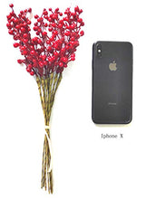 Load image into Gallery viewer, Efivs Arts Artificial Red Berry,8 Pack Holly Christmas Berries Stems for Christmas Tree Decorations, Crafts, Holiday and Home Decor (red)
