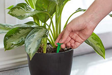 Load image into Gallery viewer, Miracle-Gro Indoor Plant Food Spikes, Includes 24 Spikes - Continuous Feeding for all Flowering and Foliage Houseplants - NPK 6-12-6
