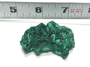 Zentron Crystal Collection Fibrous Malachite Stone - Raw Stone in Velvet Bag (Small (1-2"))