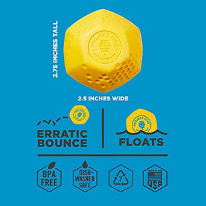 Project Hive Pet Company - Hive Ball - Dog Balls - Toy for Large and Medium Breeds - Great for Fetch - Floats in Water - Durable and Tough for Aggressive chewers - Made in The USA