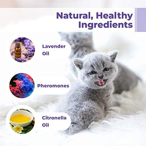 PETPLUS Cat Calming Collar for Cats | Purrfect to Reduce Your Pet’s Anxiety or Aggression | Pheromones for Cats & Cat Anxiety Relief | Cat Calming Products for Kittens | 2-Month Protection, 1 Collar