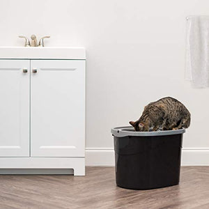 IRIS USA Top Entry Cat Litter Box with Cat Litter Scoop TECL-20
