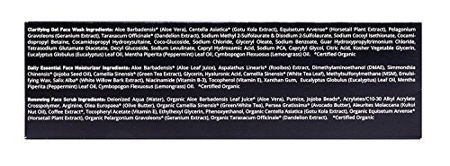 Load image into Gallery viewer, Brickell Men's Daily Advanced Face Care Routine I, Gel Facial Cleanser Wash, Face Scrub, Face Moisturizer Lotion, Natural and Organic, Scented