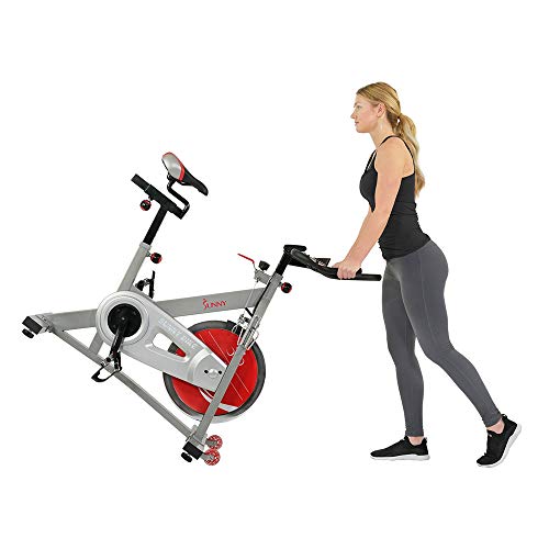 Load image into Gallery viewer, Sunny Health & Fitness Pro II Indoor Cycling Bike with Device Mount and Advanced Display – SF-B1995, Silver