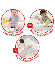 Load image into Gallery viewer, Skip Hop Developmental Learning Crawl Toy, Explore &amp; More 3-Stage Follow-Me, Bee
