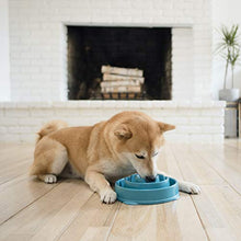 Load image into Gallery viewer, Outward Hound Fun Feeder Dog Bowl Slow Feeder Stop Bloat for Dogs

