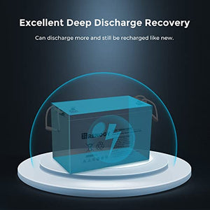 Renogy Deep Cycle AGM Battery 12 Volt 100Ah, 3% Self-Discharge Rate, 2000A Max Discharge Current, Safe Charge Most Home Appliances for RV, Camping, Cabin, Marine and Off-Grid System, Maintenance-Free