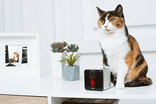 Load image into Gallery viewer, Petcube [2017 Item] Play Smart Pet Camera with Interactive Laser Toy. Remote Dog/Cat Monitoring with HD 1080p Video, Two-Way Audio, Night Vision, Sound/Motion Alerts. App-Enabled Pet and Home Safety

