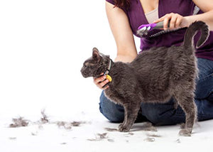 Hartz Groomer's Best Fur Fetcher De-Shedder Cat Brush